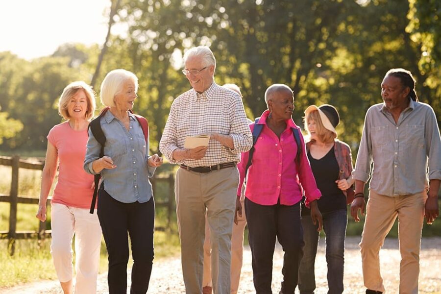 preventing alzheimers disease